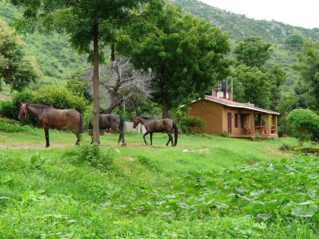 Krishna Ranch Villa Udaipur Kültér fotó