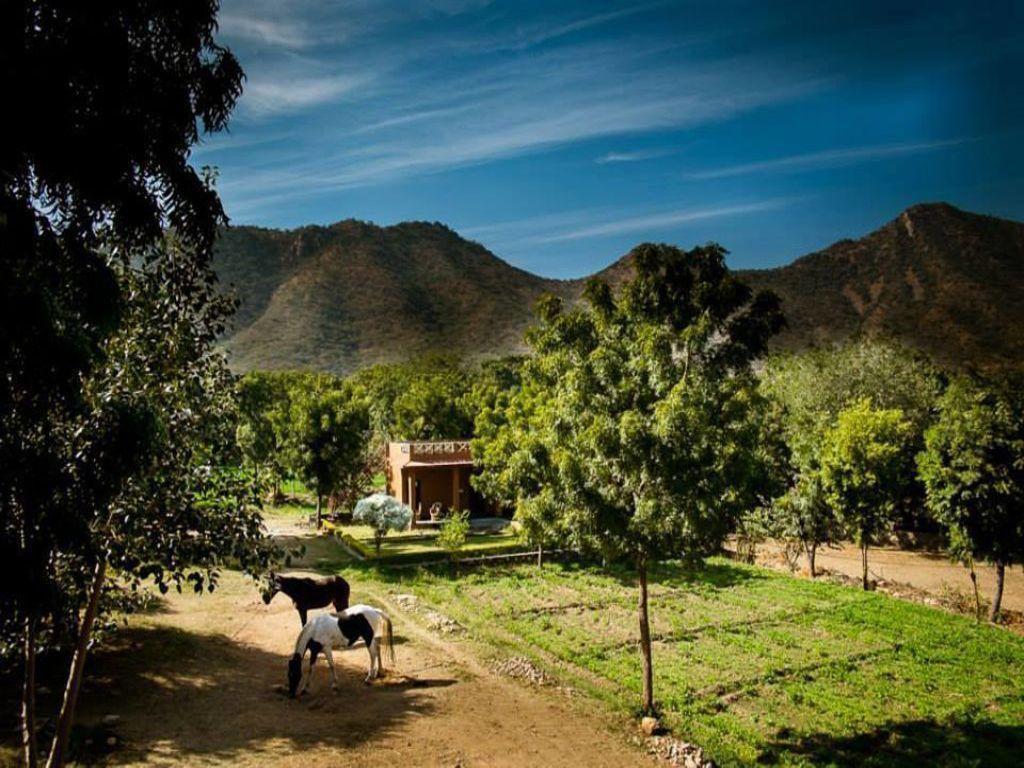 Krishna Ranch Villa Udaipur Kültér fotó