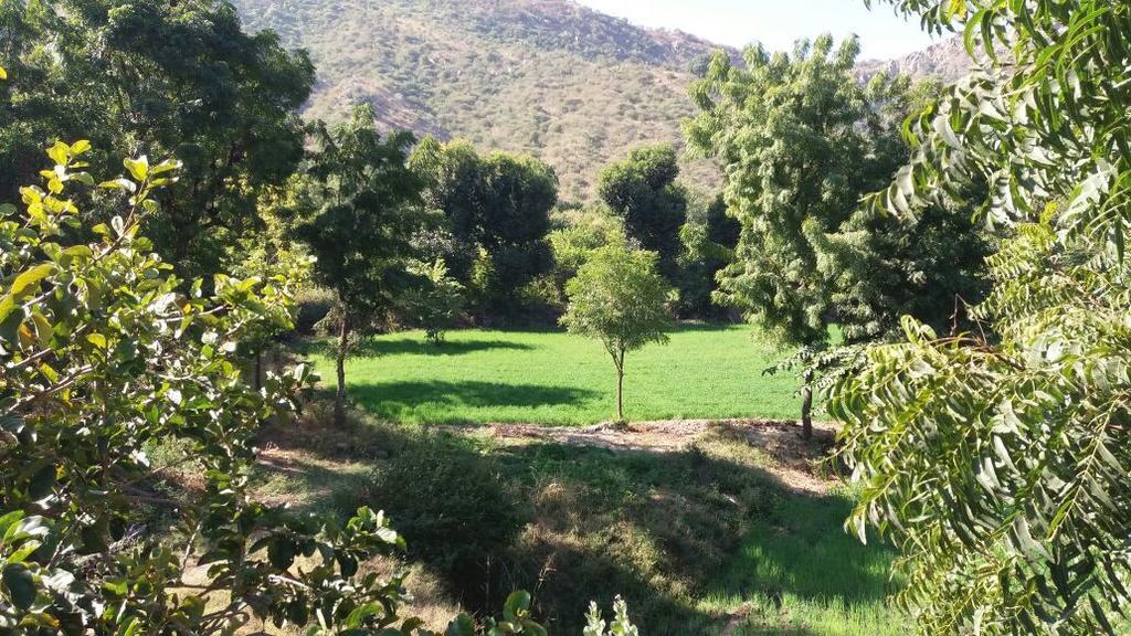 Krishna Ranch Villa Udaipur Kültér fotó